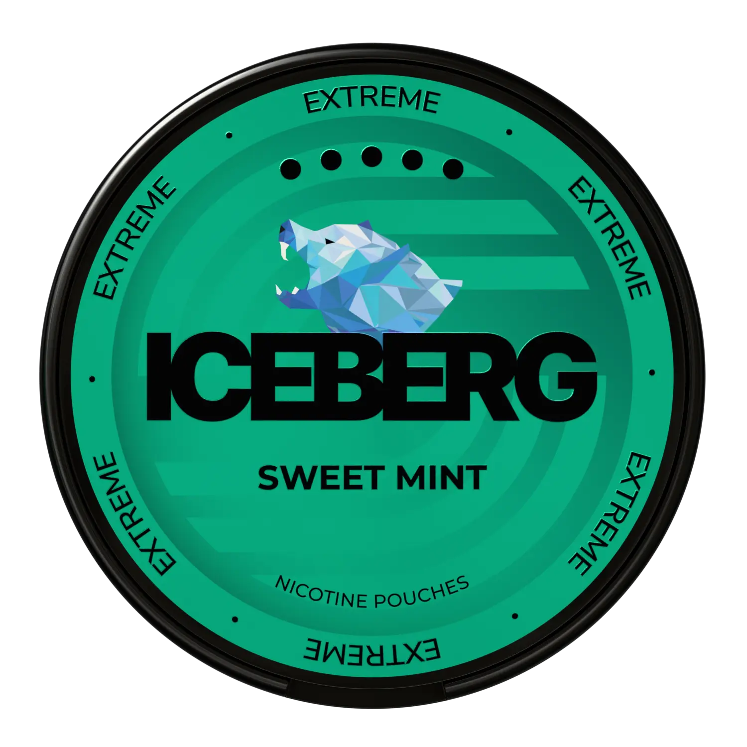 ICEBERG Sweet Mint 40mg
