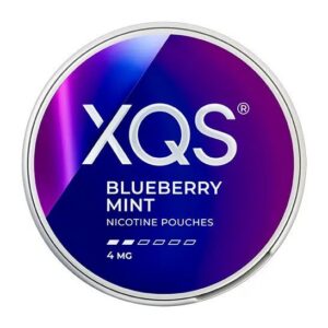 XQS Blueberry Mint 4mg nicotine pouches