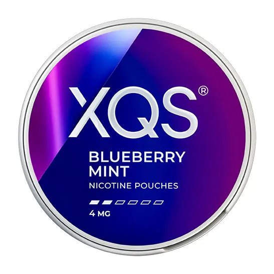 XQS Blueberry Mint 4mg