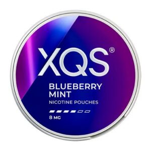 XQS Blueberry Mint Strong 8mg nicotine pouches