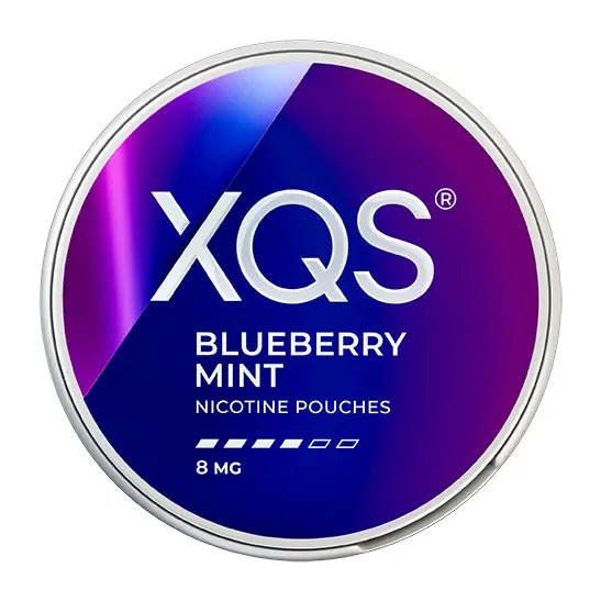 XQS Blueberry Mint Strong 8mg
