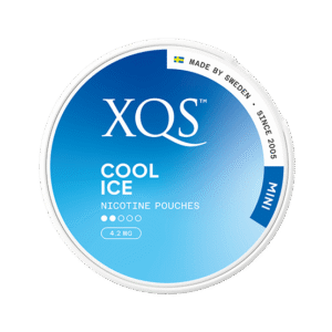 XQS Cool Ice Mini 4mg nicotine pouches