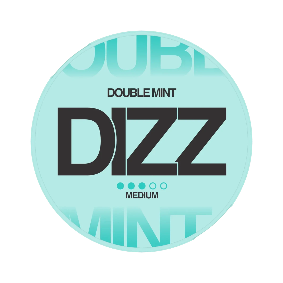 DIZZ Double Mint 8mg